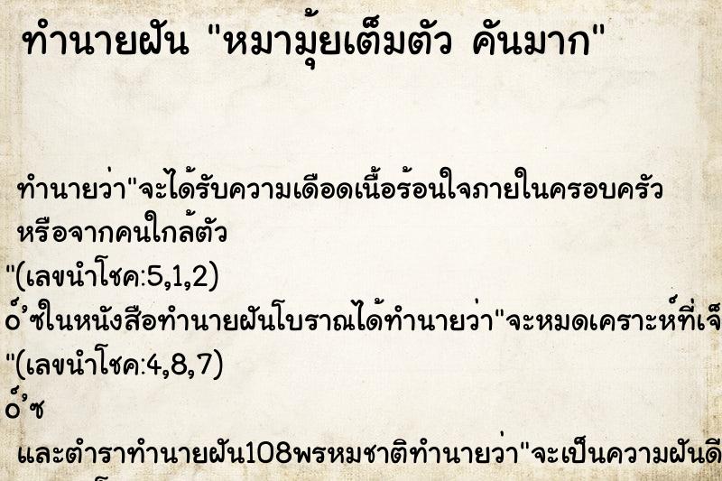 ทำนายฝัน หมามุ้ยเต็มตัว คันมาก